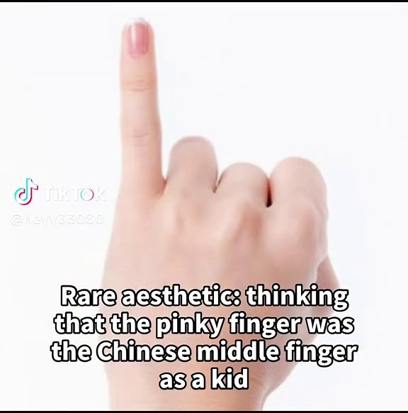 #fyppppppppppppppppppppppp #getmefamous #blowthisup #meme #funny | chinese middle hand