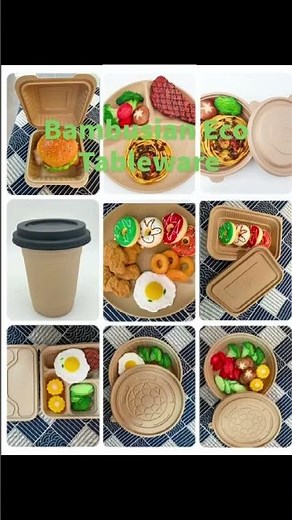 Reduce Plastic Waste with Excoldex Biodegradable Tableware