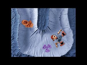 Crashbox - Remastered in HD: “Episode 8” (SE1 Ep8)