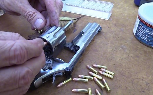 看看.22的子弹威力如何，看完还觉得.22是玩具么