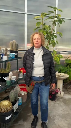 🌱✨ We’re OPEN and ready for you! ✨🌱 Down to Earth Gardens & Nursery is officially open, and we have lots to explore - both inside our greenhouse and outside in the nursery! 🌿 Fresh plants & greenery 🌸 Early-season favorites 🪴 Garden essentials & goodies 🌱 Inspiration everywhere you look Whether you’re just browsing, planning your garden, or ready to plant - everyone is welcome! Come say hi, ask questions, and get inspired. We can’t wait to see you 🌿💚 Open daily 9 am - 4:30 pm | Down to E