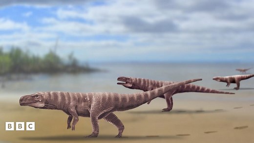 Did ancient species of crocodile walk on two legs?