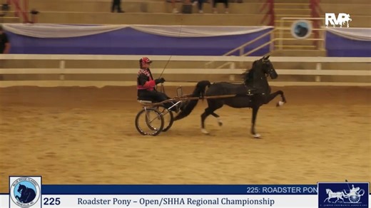 BRC25 - Class 225 - Roadster Pony Open & SHHA Regional Championship