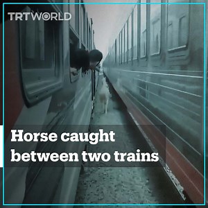 1.7M views · 2.4K reactions | A horse is caught between two trains moving in opposite directions as it gallops on the tracks after reportedly running away from its owner in Egypt. | TRT World | Facebook