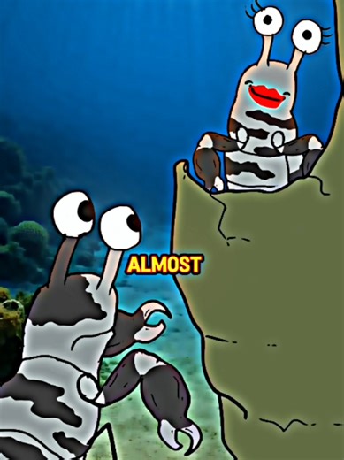 crazy life of zebra Mantis shrimp.... #education #animals #fyp