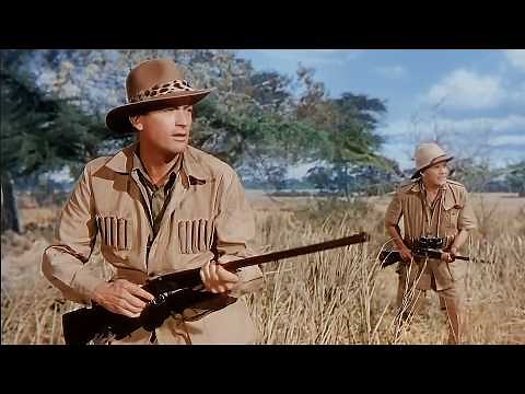 The Snows of Kilimanjaro (1952) Gregory Peck, Ava Gardner | Adventure, Drama