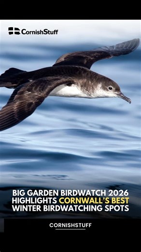 The RSPB Big Garden Birdwatch returns from Friday 23rd to Sunday 25th January 2026, inviting people across the UK to spend one hour counting birds and helping build the world’s largest wildlife survey. Read more on CornishStuff.com #Cornwall #CornishStuff | CornishStuff