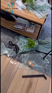 39K views · 302 reactions | Golden Retriever tries to swim in fish tank  #comedyreels #goldenretrieverlife #ai | Sara L | Facebook