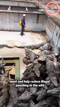 3 Most Unusual Animal Farms