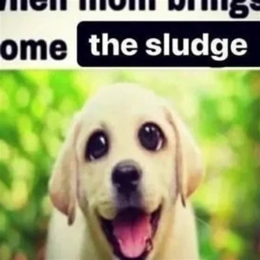 Alex made this one #goy #goyslop #sludge #Alex #nestle | when mom brings home the sludge
