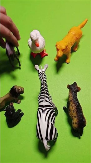 ASMR Brain Tingles: Satisfying Tapping on Miniature Animals ✨