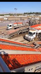 Yooooo 😳 imagine Ghanaian tomatoes 🍅 growing areas have access to industrial processing facilities like this 🤔 it will bring lot of relief paaaaaa | The Ghanaian Farmer