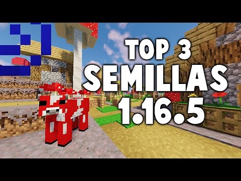 TOP 3 MEJORES SEMILLAS DE MINECRAFT 1.16.5 ✅