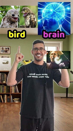 Literal vs real meaning IDIOM EXPRESSION BIRD BRAIN #learning #english #vocabulary #funny
