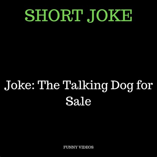 1.2K views | A GUY WALKS PAST A SIGN OUTSIDE A HOUSE THAT SAYS: | Funny Videos | Facebook