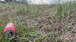 Bladen Co. requests state reinstate roadway prison clean-up program