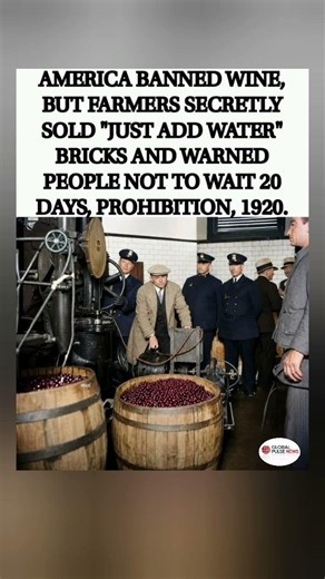 When wine was illegal, but “brick wine” was just 20 days away.🧱🍷#ProhibitionEra #WineHistory #shorts