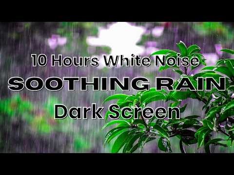 🔴 Soothing Rainfall | 10 Hours of White Noise -No Ads