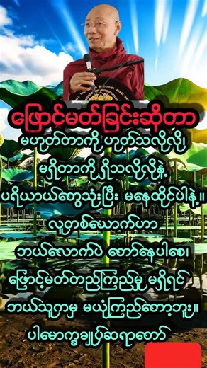 #shortsvideo#ဖြောင့်မတ်ခြင်း#dahmma #တရားတော်များ