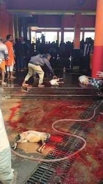 Subscribe me Guy's my name is Krishna ||💗