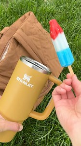 480K views · 907 reactions | The summer hack you need to know #momhacks #hacks #summer #summervibes #summertime #summertimefun #momlife #kids #parenting | Life With LJ | Facebook