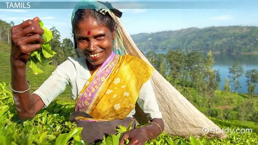 Ethnic Groups in Sri Lanka | Map & Population