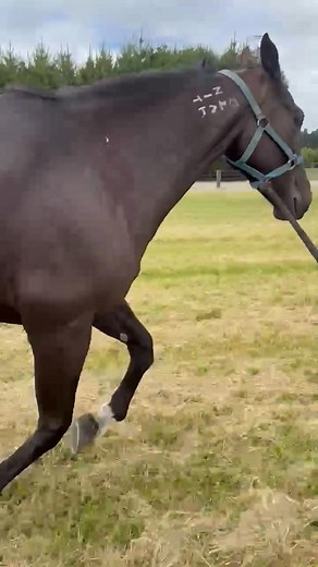 11K views · 114 reactions | Big shout out to everyone who took some time out to wish me a happy birthday. Just a little reminder back. BET ON RED | Michael House | Facebook