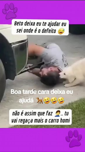 Playful Puppy Interacts with Man Outdoors