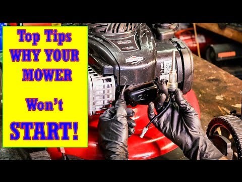 Getting Your Lawn Mower Running Again for Absolute Beginners!