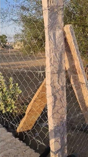 #trendingshorts # my farm house #viralvideo