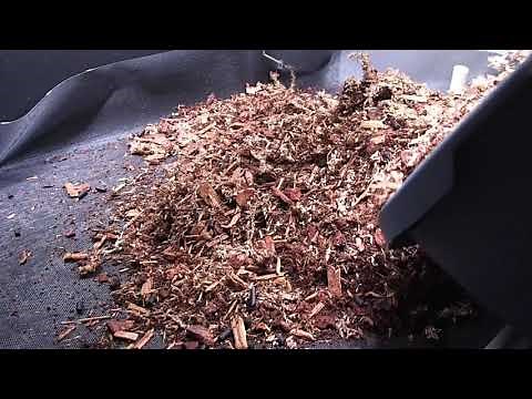 DIY BIOACTIVE ENCLOSURE with waterfall -- Ball (Royal) PYTHON -- Snake tries to DROWN HERSELF!