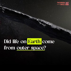 14K views · 291 reactions | For millennia, humanity has pondered the origin of life on Earth. Is it a uniquely local phenomenon, born solely from the conditions of our planet, or did it arrive from celestial origins, carried here by cosmic winds or hitching a ride on a comet? This very question, "Did life on Earth come from outer space?", ignites the imagination and sparks intense debate within the scientific community. | The Brain Maze | Facebook