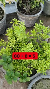 Solve it Mat Test | Learn And Solve