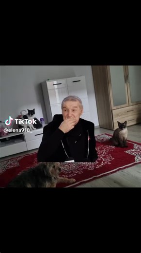 Videoclipuri postate de John Lyonvic (@johnlyon.1994.inc) cu original sound - John Lyonvic