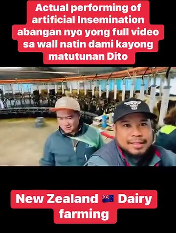 6.6K views · 244 reactions | Actual Artificial Insemination of our AI technician #newzealanddairyfarming #dairyfarming #dairyfarminglife #insemination #cow #animals #breedingseason #pinoydairyfarmer #pinoydairyfarmerinnewzealand #kapangarapvlognz | Kapangarap vlog New Zealand | Facebook