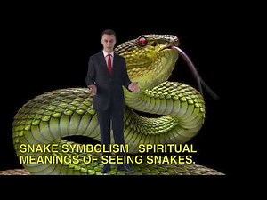 Snake Symbolism Spiritual Meanings Of Seeing Snakes