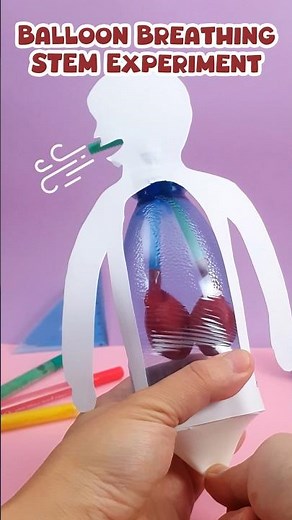 DIY- Lungs System 🫁 working model with balloon | #schoolproject #diy #trending #viral #science #kids