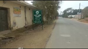 30K views · 1.4K reactions | Goat Land Farms Introduction | Goat Land Farms | Facebook