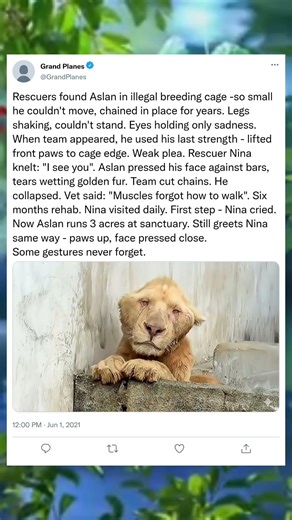 Before the Silence Fell#Dramatic #UntoldStory #LifeChanging