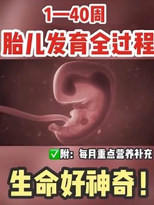【人体科普】3分钟看完胎儿1-40周发育全过程‼️生命真的太神奇了