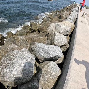 This is what happens when you fish the best jetties in the world! #fishing #jetty #fblifestyle #jupiter | Bearded Brad