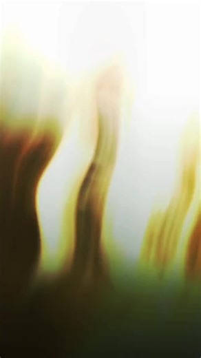 2.1K views · 19 reactions | What Happened To Queen Nefertiti??...