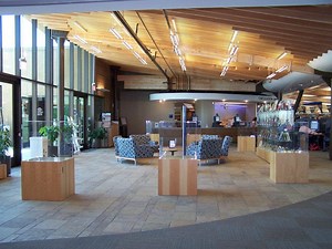 SD County Library System Named Best in the U.S.