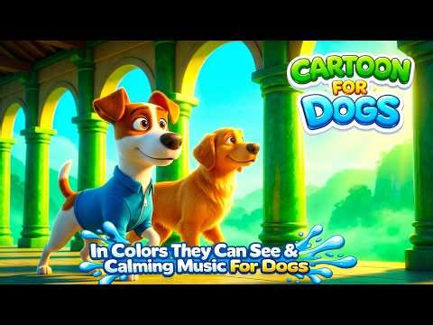 24 Hours Dog Cartoon 🐾🦆 in Colors Dogs Can See | Funny Dog Videos for Dogs Home Alone All Day