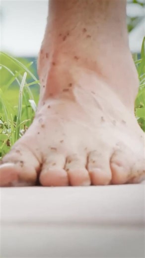 Time to get SWARMED by 500 ANGRY Harvester Ants! We revisited Arizona and found the mound where Coyote's climb up the Pain Sting Index all began. | Brave Wilderness