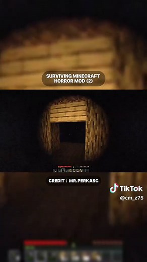Surviving Minecraft horror mod (2) — Mr. Perkasc