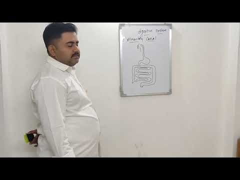 Class 10th science - chapter - life process - (DIGESTIVE SYSTEM)