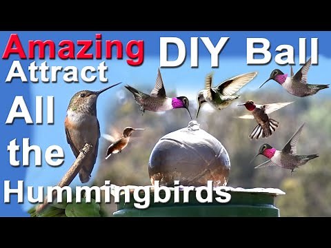DIY BALL Endless Water Hummingbird Birdbath-Attracts Birds Solar Powered Water Fountain in Garden