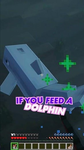 Dolphins in Minecraft Can Lead You to Hidden Treasure Shipwrecks! #minecraft #minecrafttipsandtricks