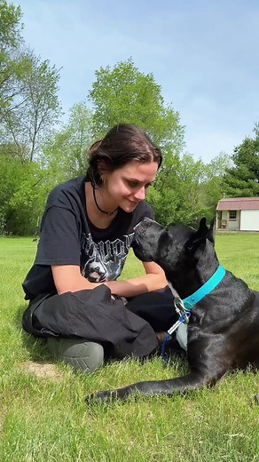 Dog Sings ‘The Emperor’s New Groove’ – Pitbull-Style Reaction